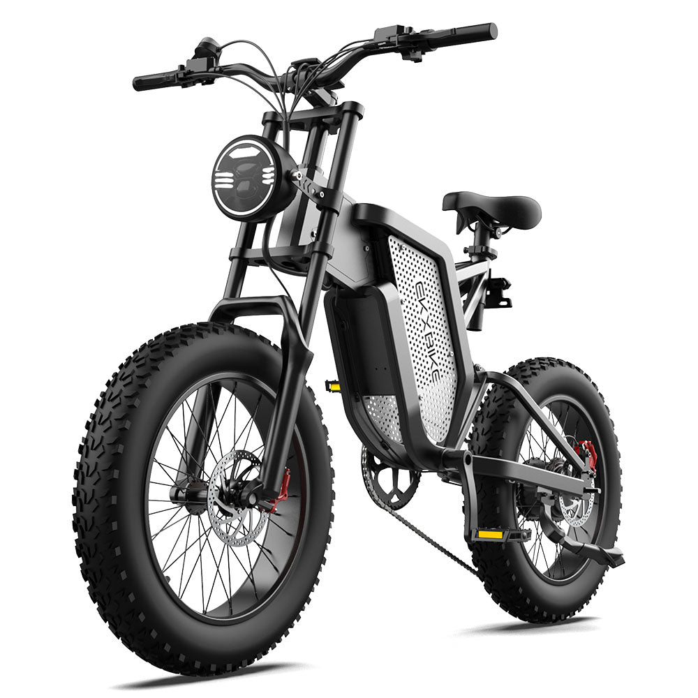 EKX X20 Electric Bike Mountain Moped Ebike 20 Inch Fat Tire 2000W 48V 35AH Men's Road EBike Electric Bicycle For Adults E Bikes